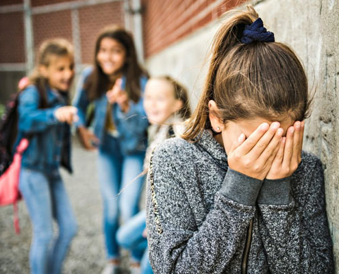 Bullying Concerns